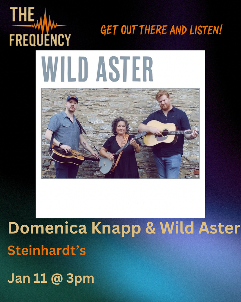 Domenica Knapp & Wild Aster