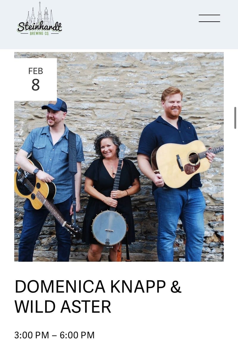 Domenica Knapp & Wild Aster