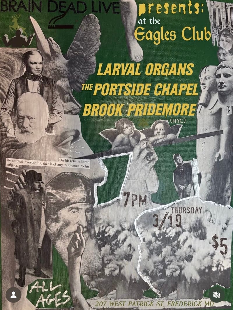 Larval Organs/Portside Chapel/Brook Pridemore