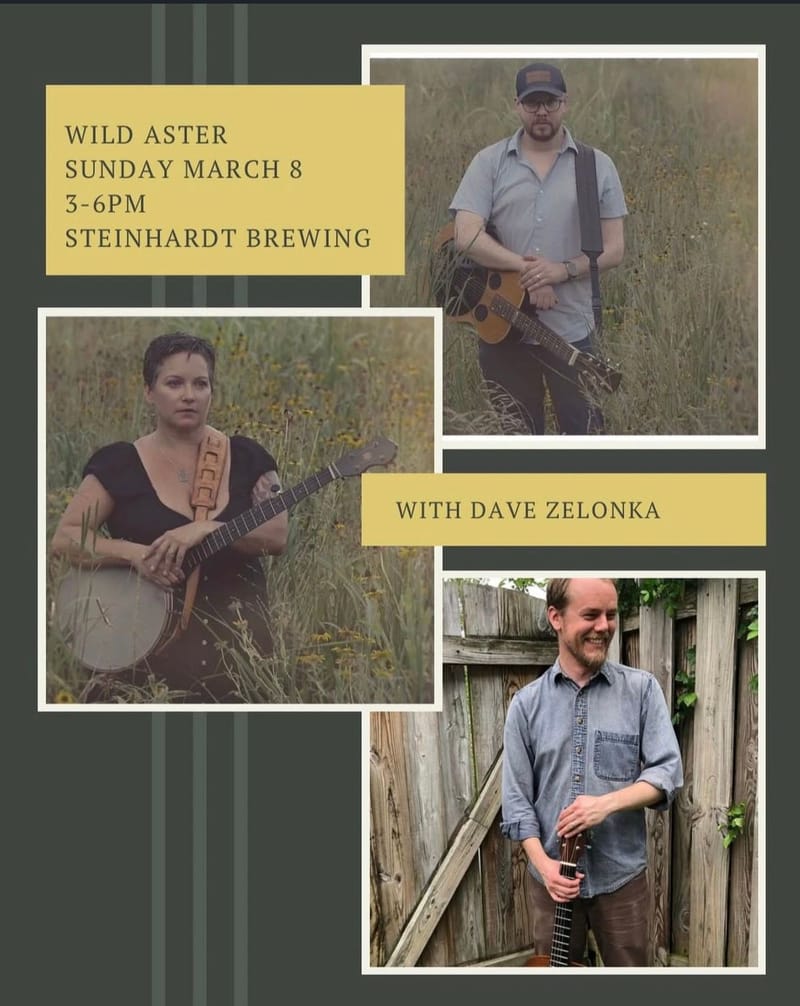 Wild Aster/Dave Zalonka