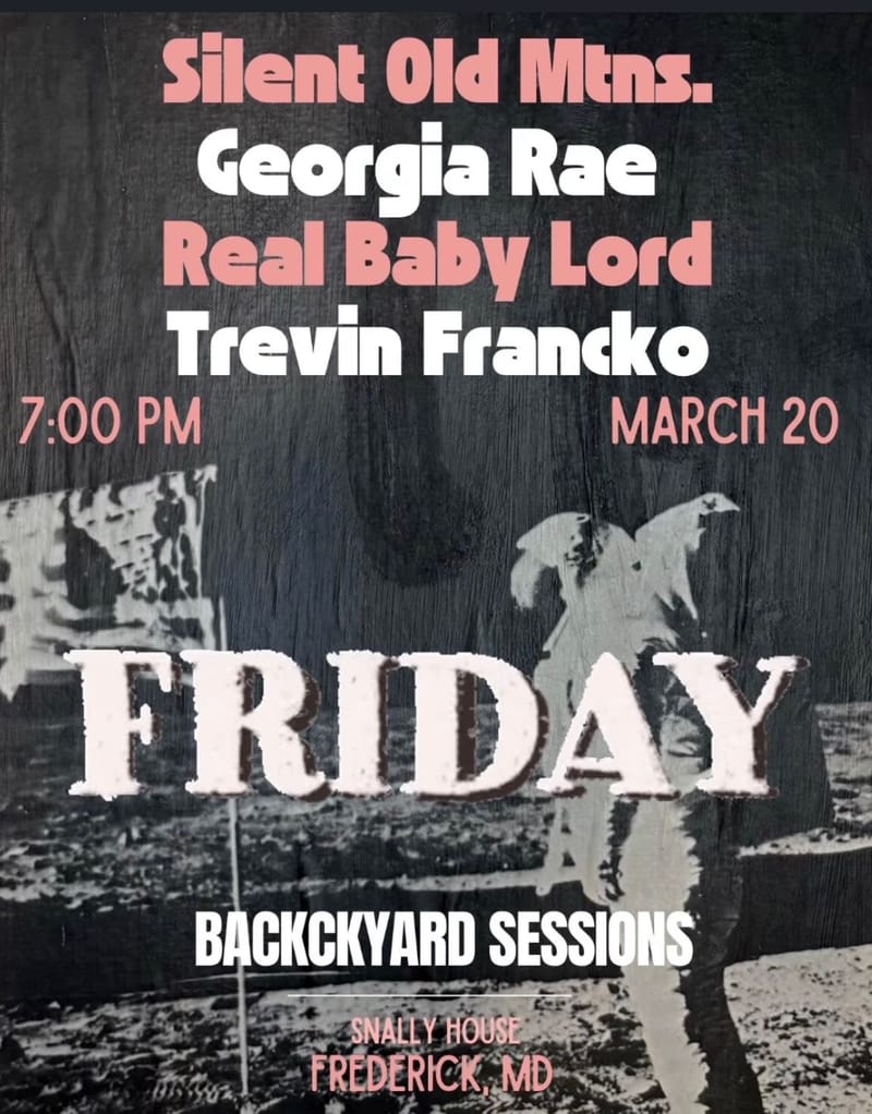Georgia Rae Braun/Silent Old Mtns./Real Baby Lord/Trevin Francko