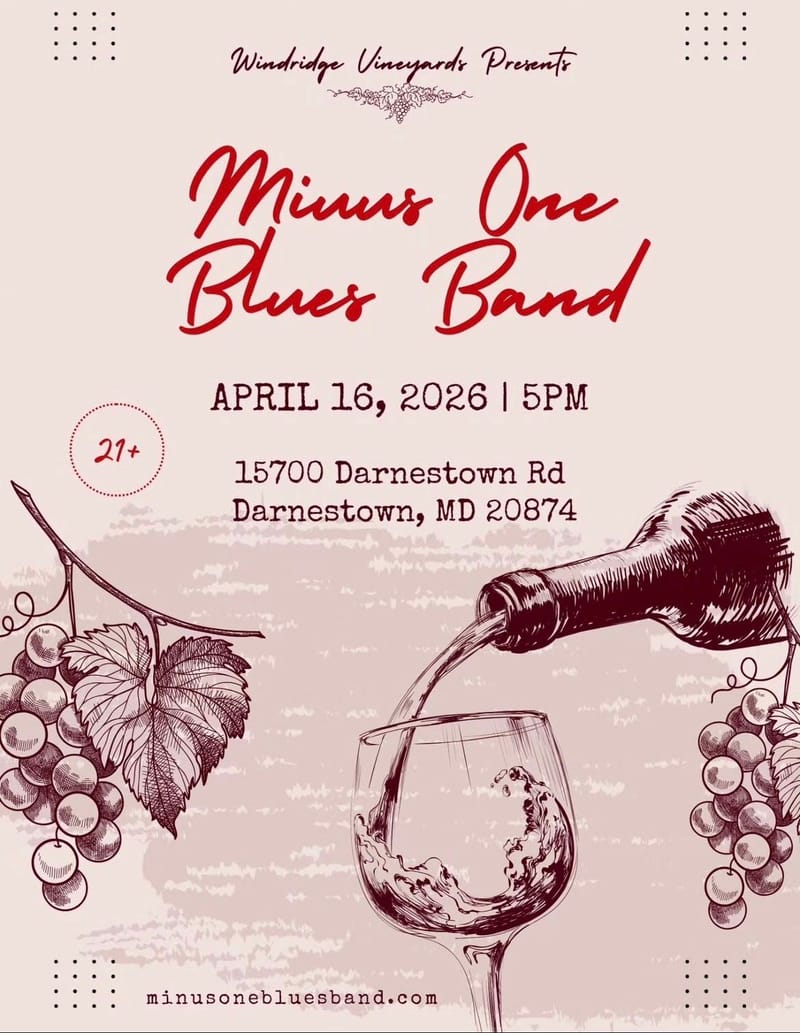 Minus One Blues Band