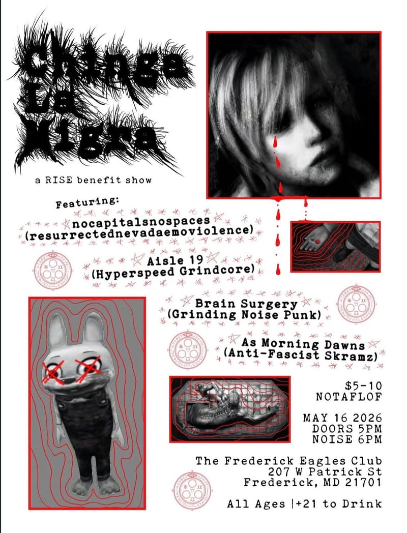 nocaptialnospaces/Aisle 19/Brain Surgery/As Morning Dawns