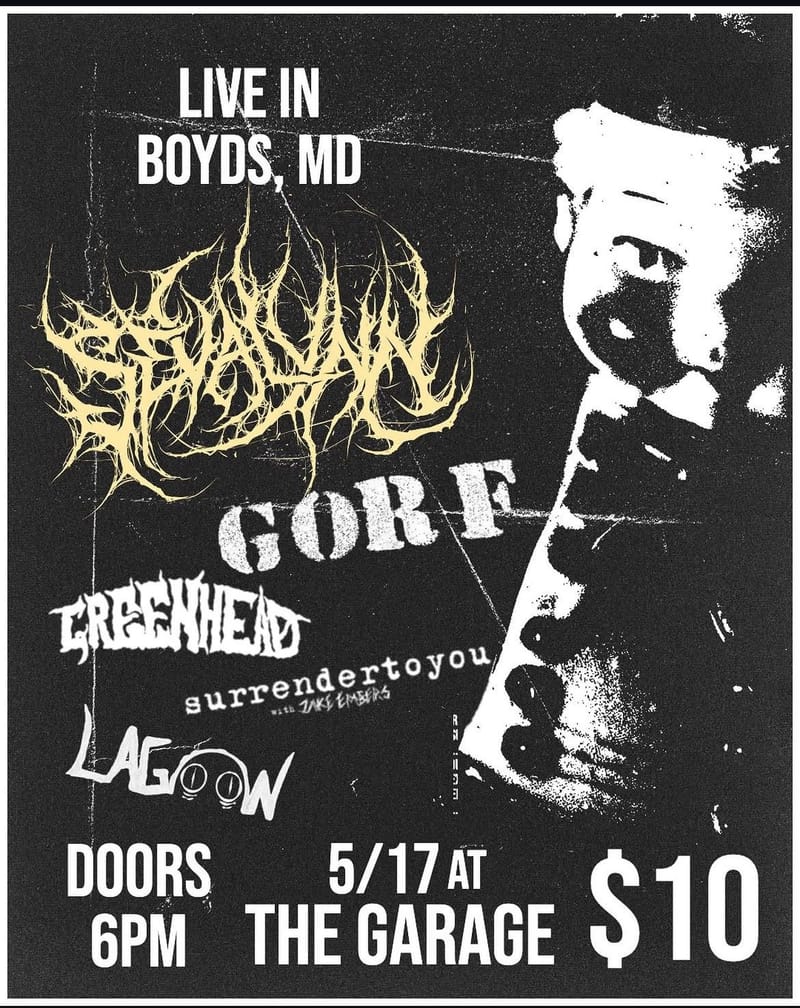 Sevalynn/Greenhead/Gorf/Lagoon/Surrender to You