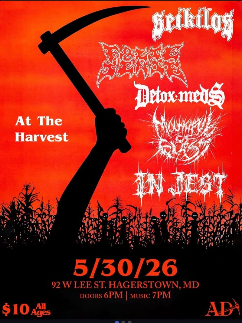 False Sense/Seikilos/Detox-Meds/Mouthful of Glass/In Jest