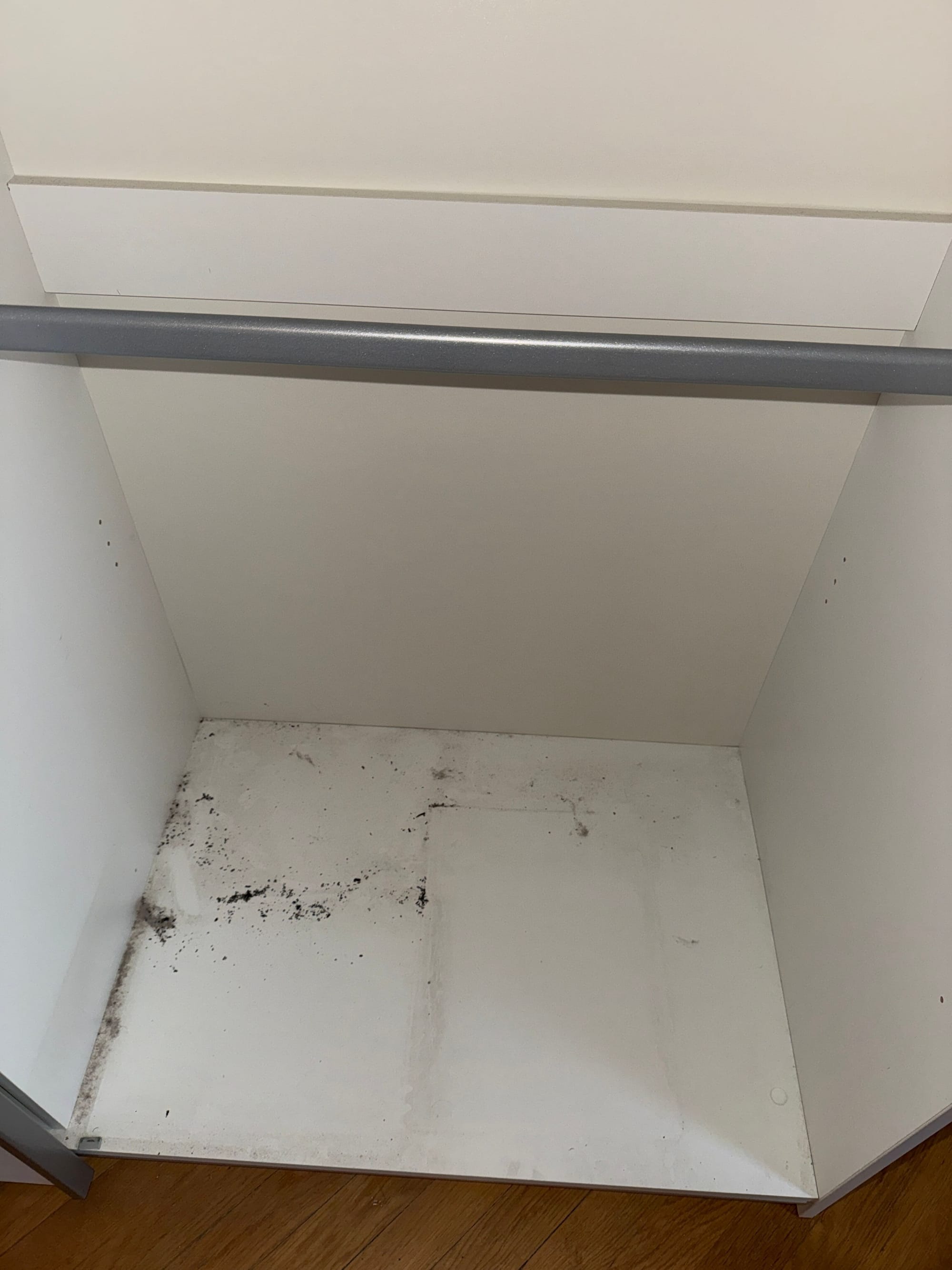 Kiköltözés utáni takarítás