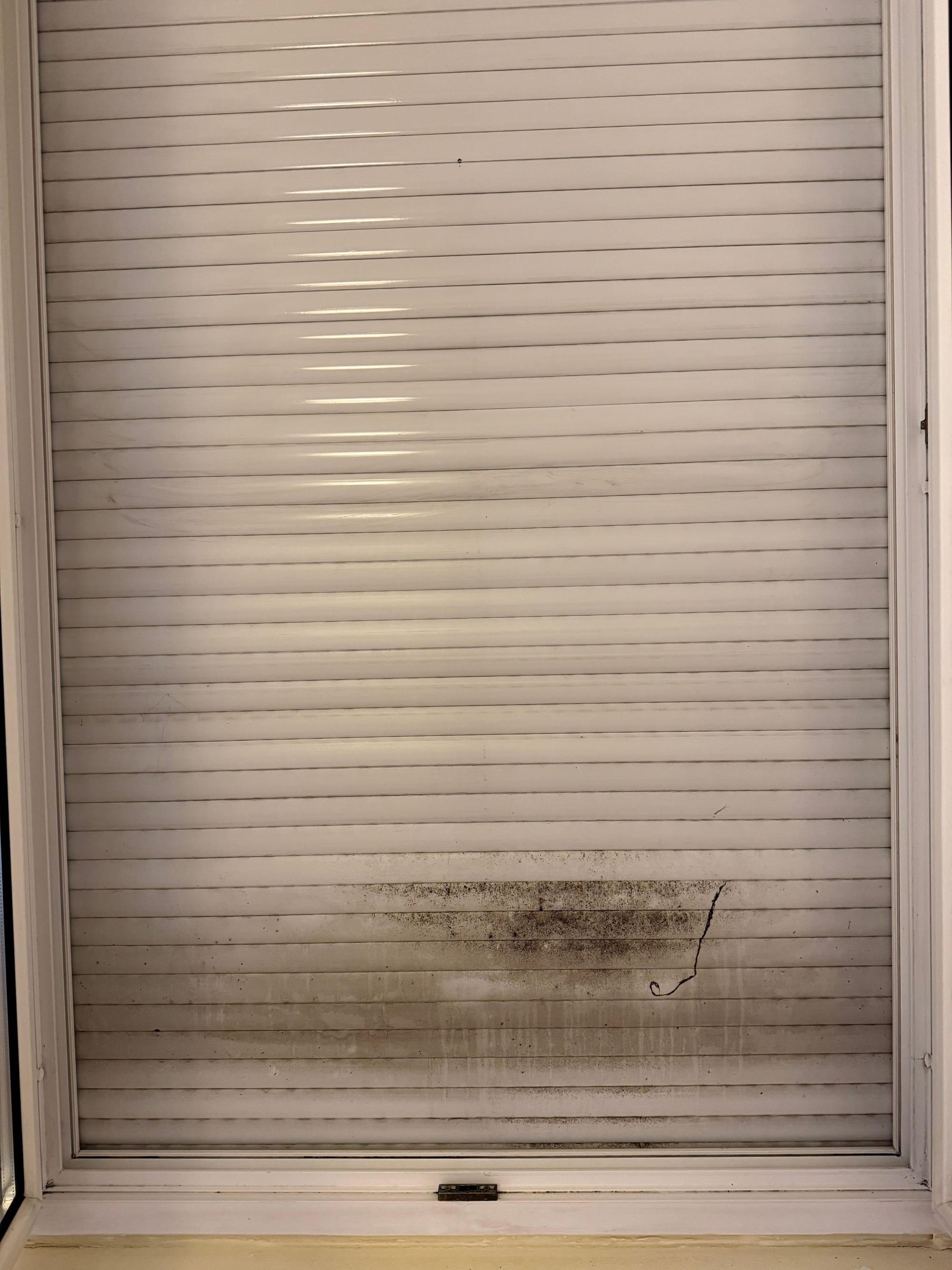 Kiköltözés utáni takarítás