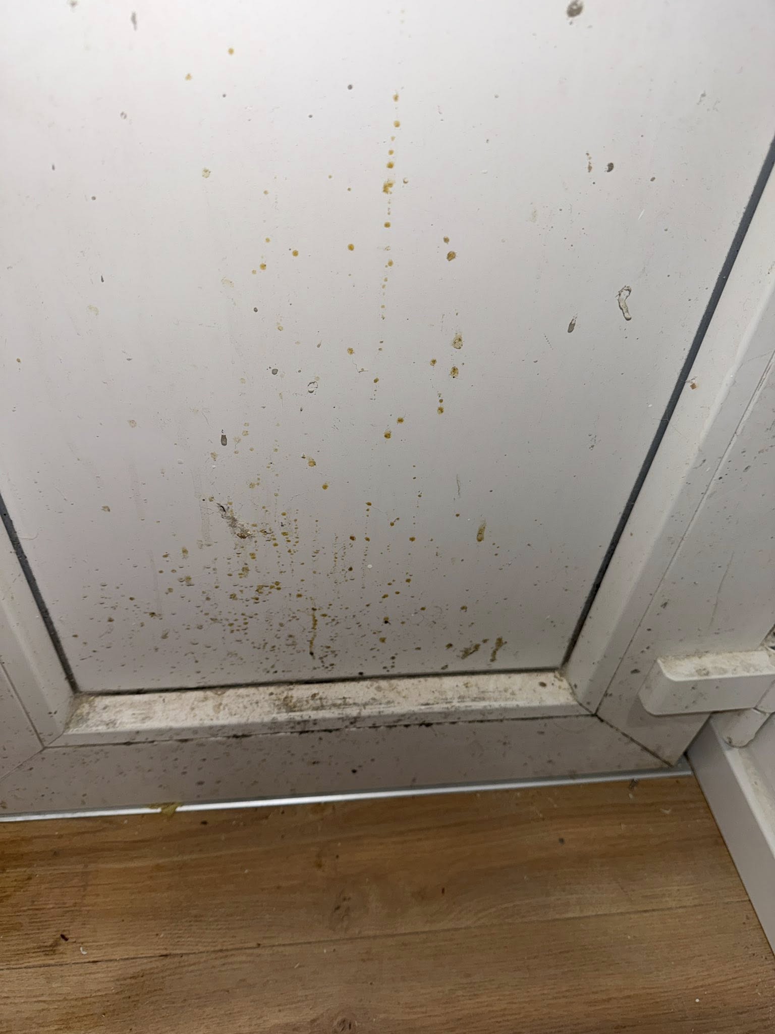 Felújítás utáni takarítás előtte