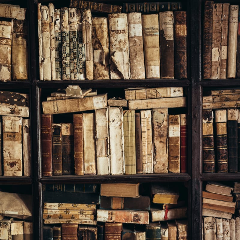 The Lifelong Storyteller: Therese Marie Thompson’s Journey Through Books