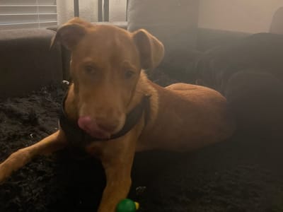 Eventful & Adventurous Times w/ Friends