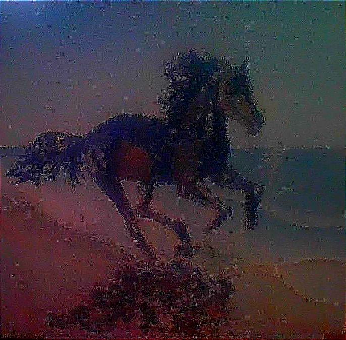Galop ensoleillé