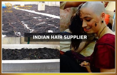 Raw Indian Hair Vendors: Unlocking Authentic Quality in the Hair Factory Industry