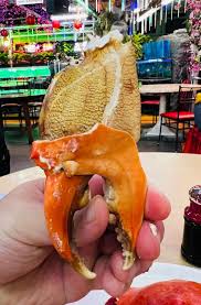 No Signboard Seafood ( White Pepper Crab )