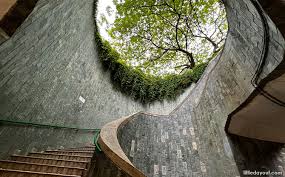 The Fort Canning Tree Tunnel ( Photo spot for content creators )