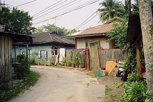 🌿 Kampong Lorong Buangkok – A Step Back in Time