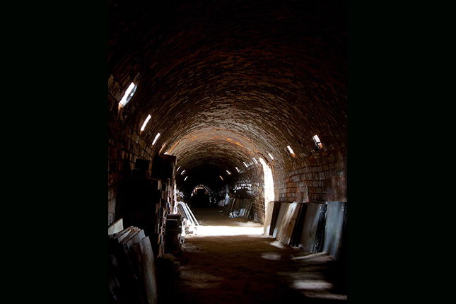 Thow Kwang Pottery Jungle (Where Fire Meets Tradition)
