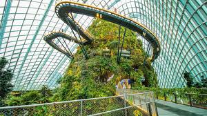 Cloud Forest ( Garden By The Bay )