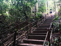 Devil Stair Case @ Bukit Timah (Nature Walk)