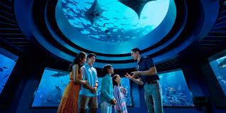 Oceanium In Sentosa