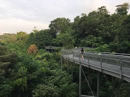 Southern Ridges (Nature Walk)