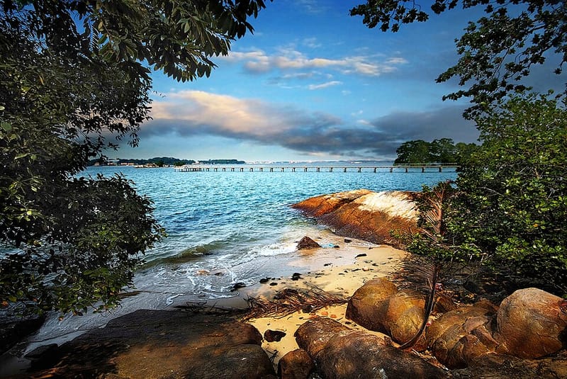 Chek Jawa Wetlands Pulau Ubin Singapore