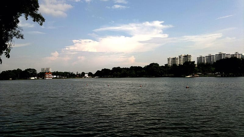 Jurong Lake Garden