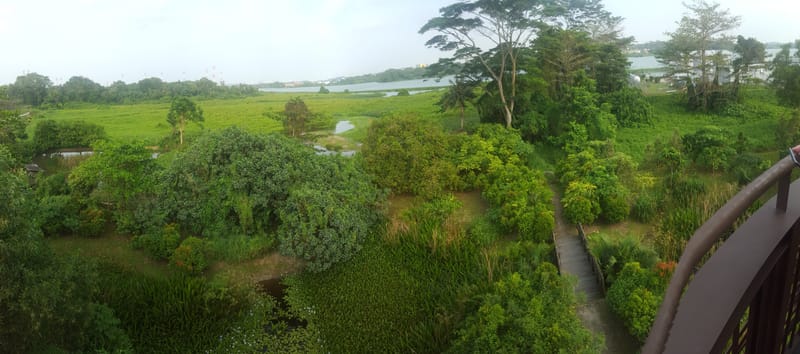 Kranji Marshes freshwater Marshes in Singapore