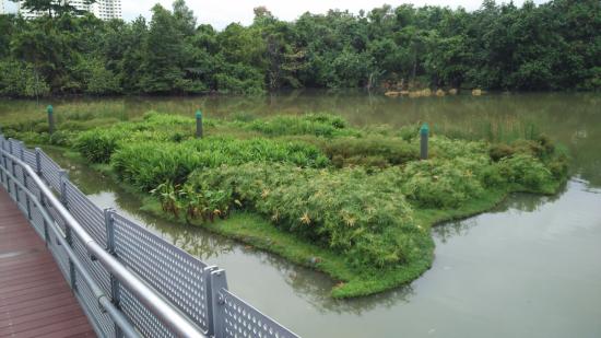 Sengkang Riverside Park Singapore