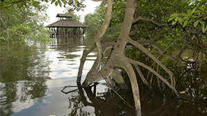 Sungei Buloh Wetland Reserve
