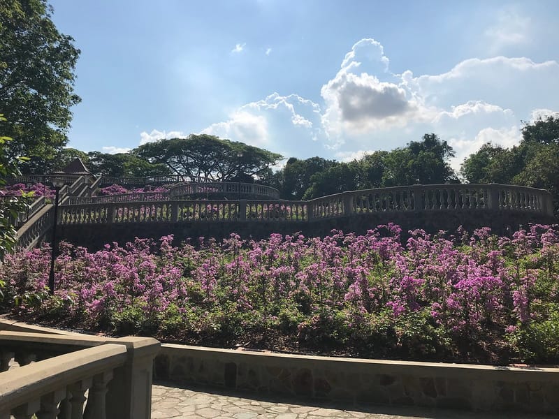 Telok Blangah Hill Park