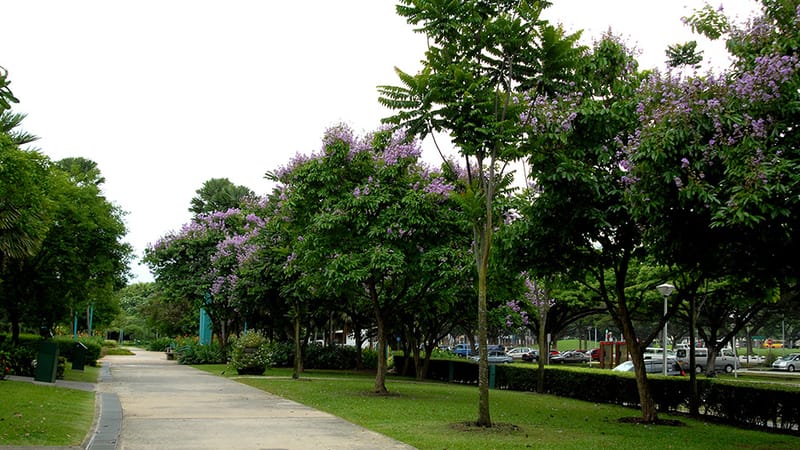 West Coast Park Singapore