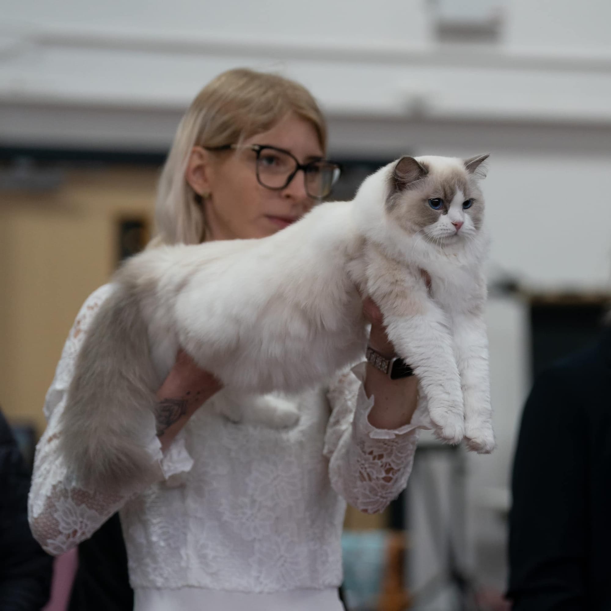 Fife Inter Champion PL My Butterfly SB Cassidy, Junior Winner