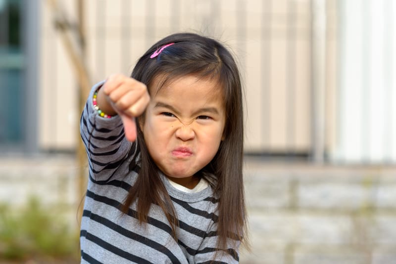 עבריינות כסימן לתקווה-דונלד וויניקוט וטיפ קטן להורים