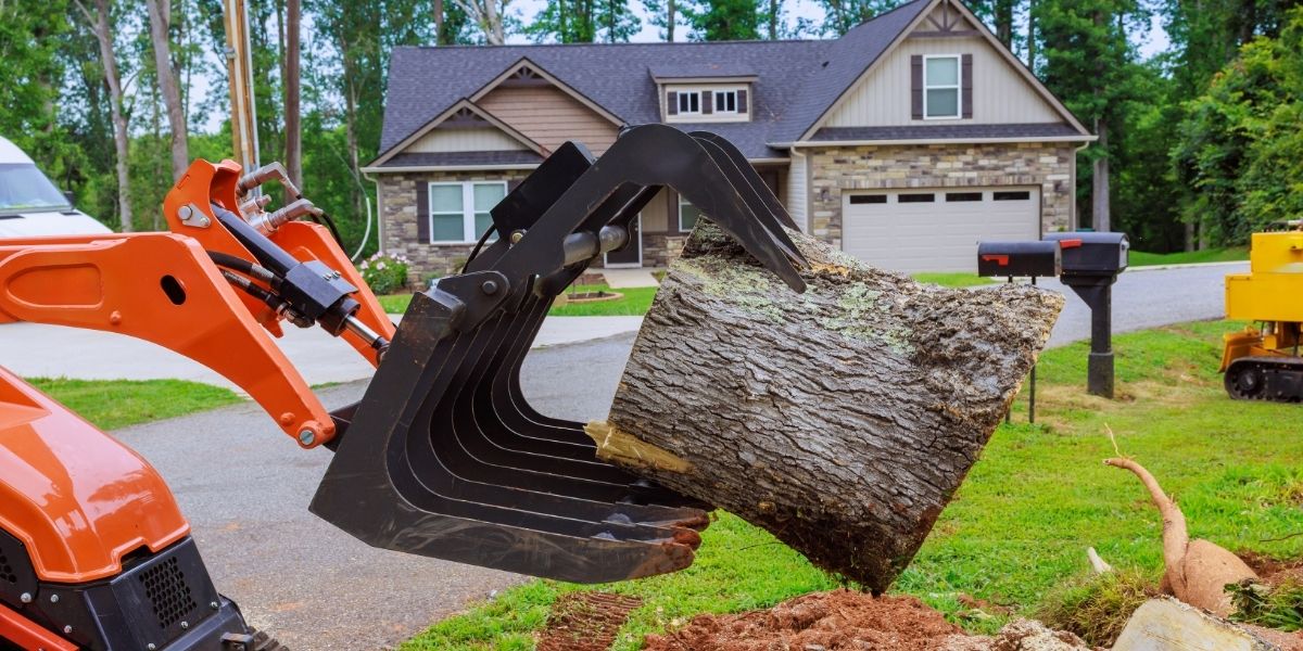 Professional stump removal creating a safe and pest-free residential yard