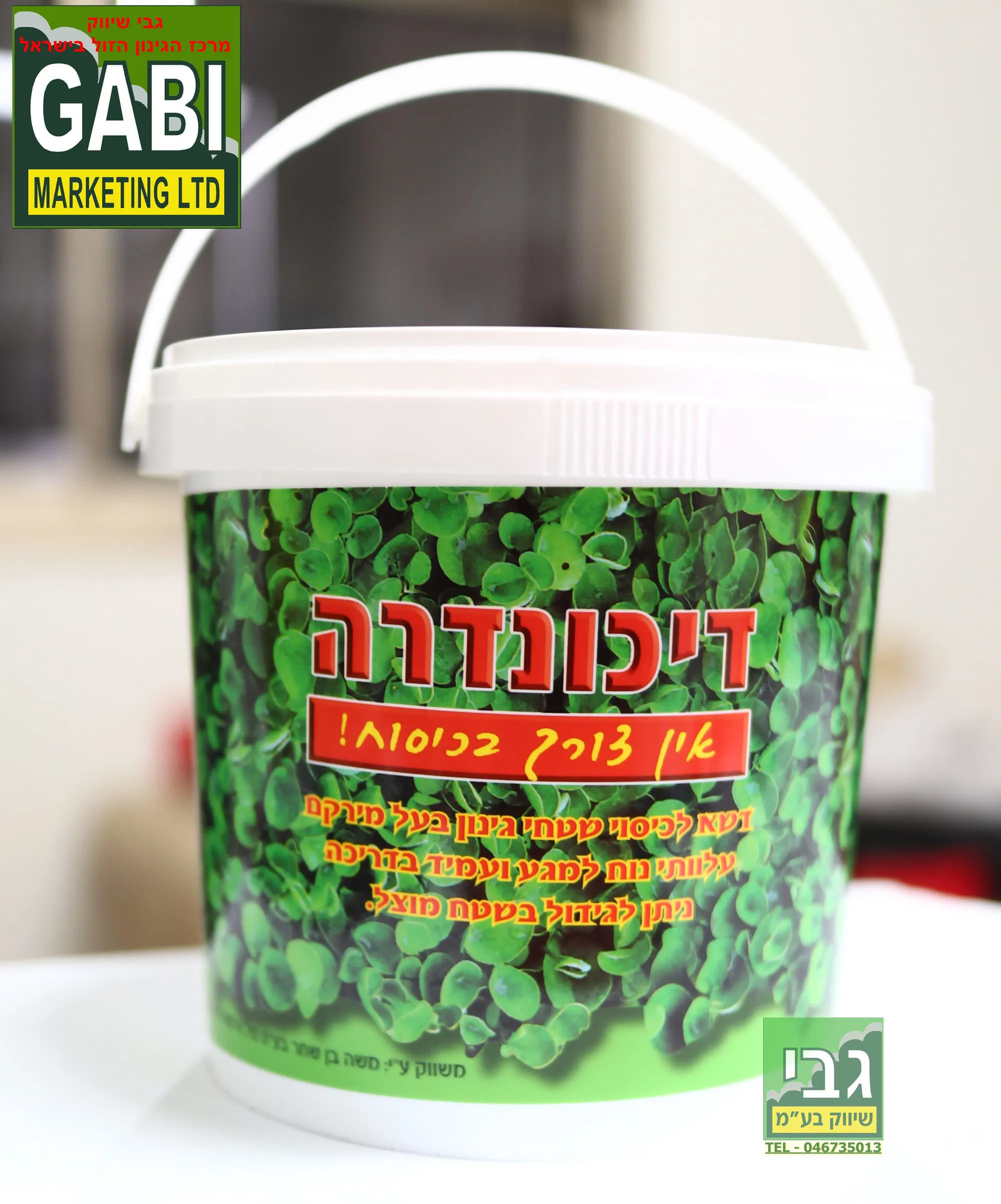 זרעי דיכונדרה 250 גרם - זרעי דשא דיכונדרה