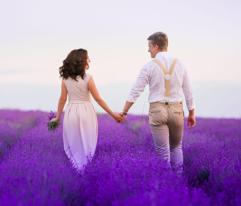 זוגיות הרמונית