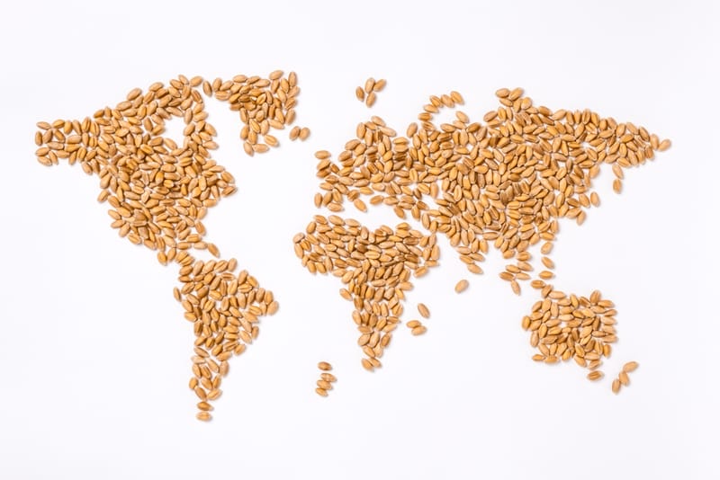 Nutrition and Food Systems