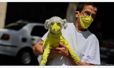 Τα κατοικίδια δεν μεταδίδουν κορωνοϊό αλλά μολύνονται.