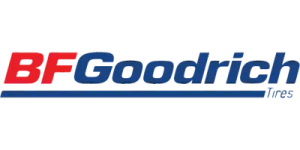 بي اف جدريتش