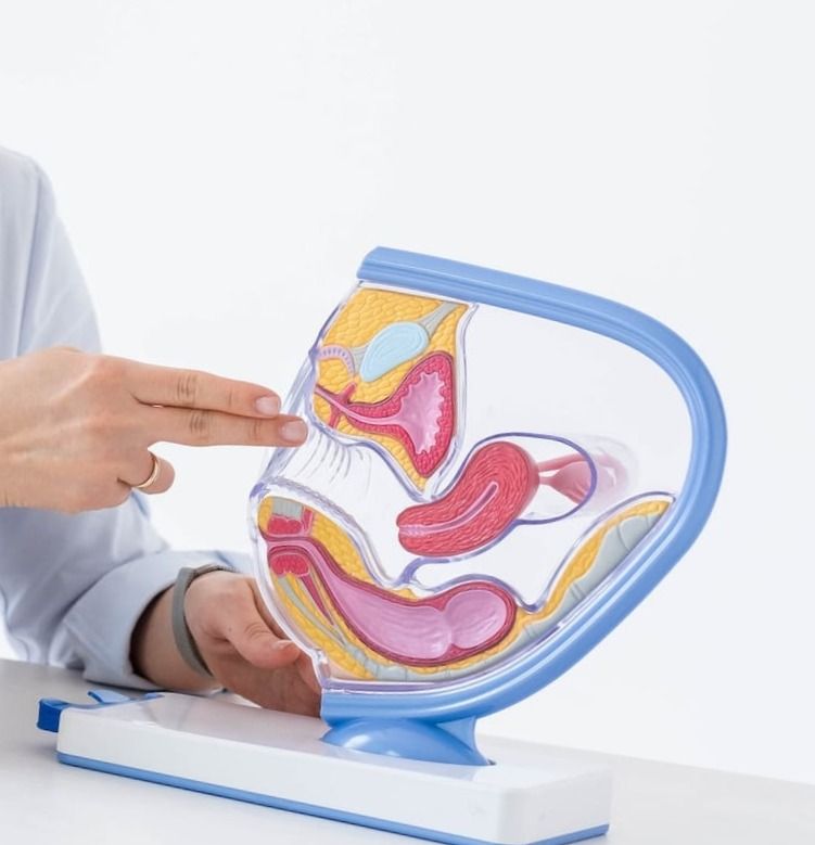 Comprehensive Obstetrics &amp; Gynecology Care