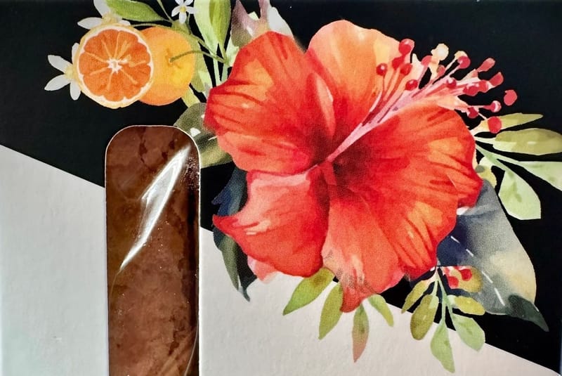 Hibiscus Orange