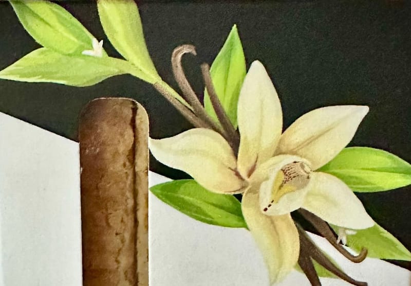 Vanilla Bean