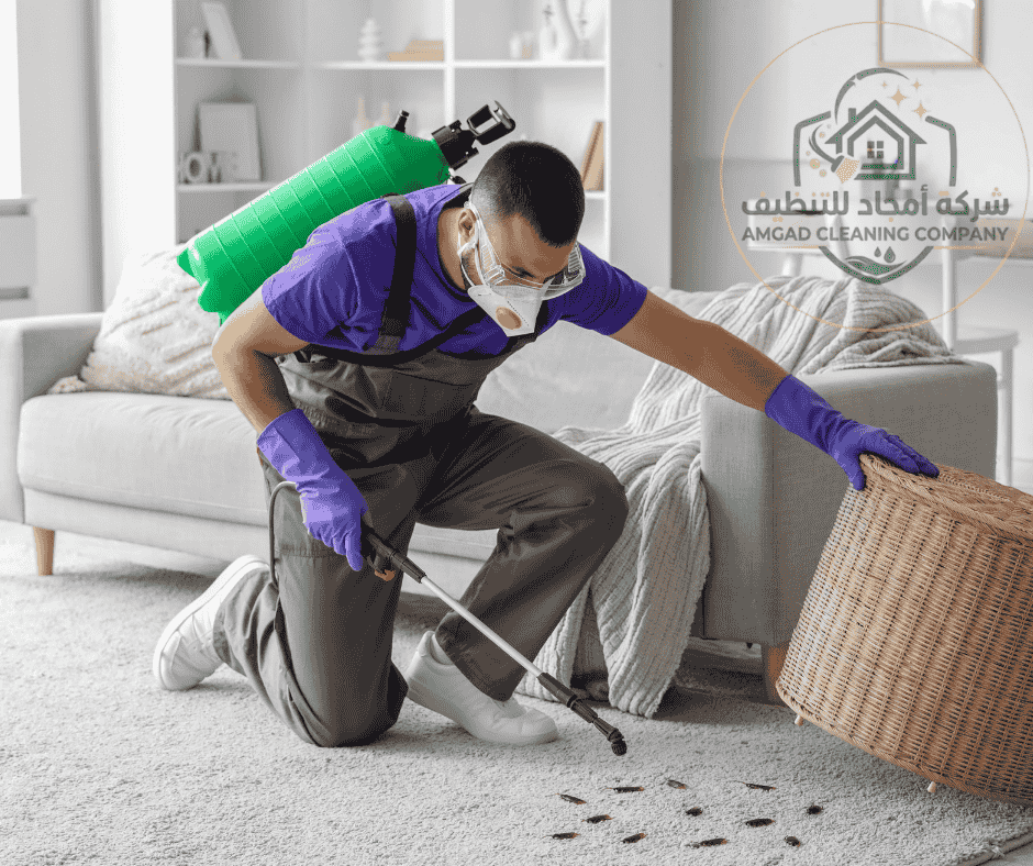 شركة امجاد لمكافحة الحشرات بابها