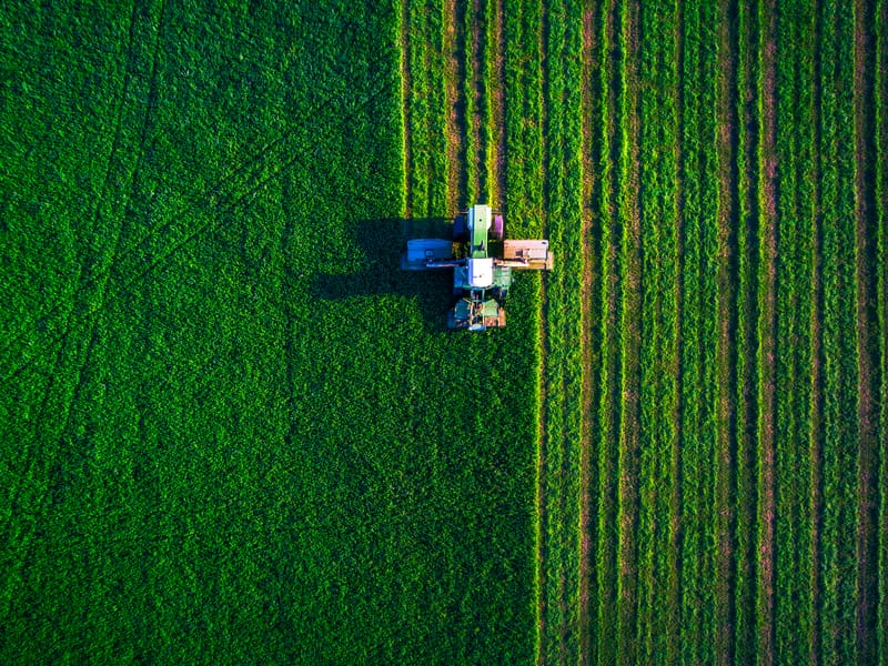Sowing and harvesting of fields