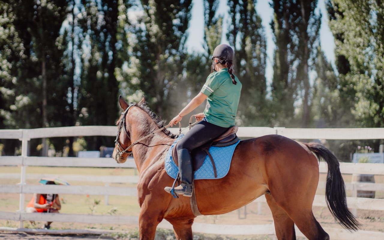 Alma Equina: enseñanza, bienestar y superación personal a través del vínculo con los caballos