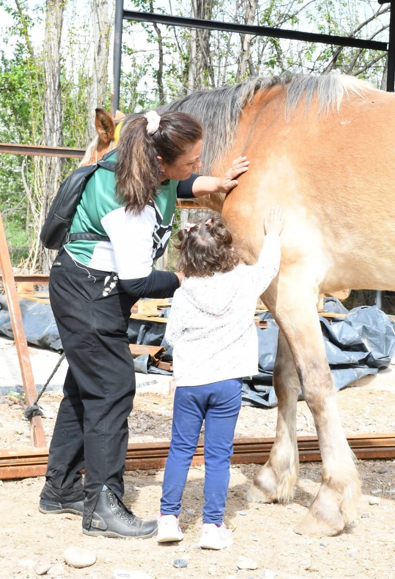Manejo y Cuidado del Caballo