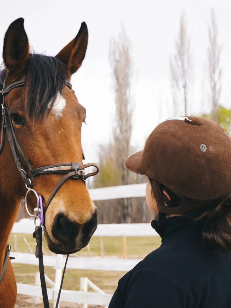 Formación en Equitación
