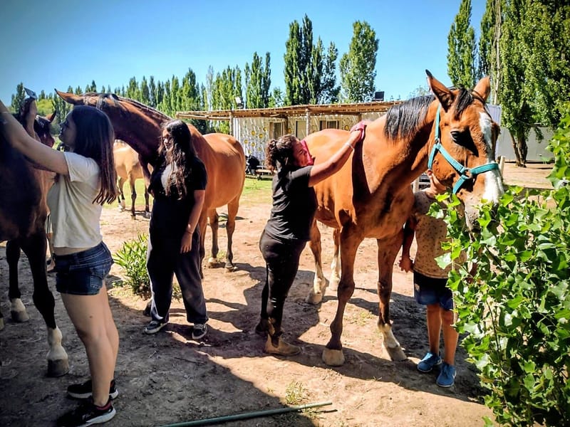 Manejo y Cuidado del Caballo
