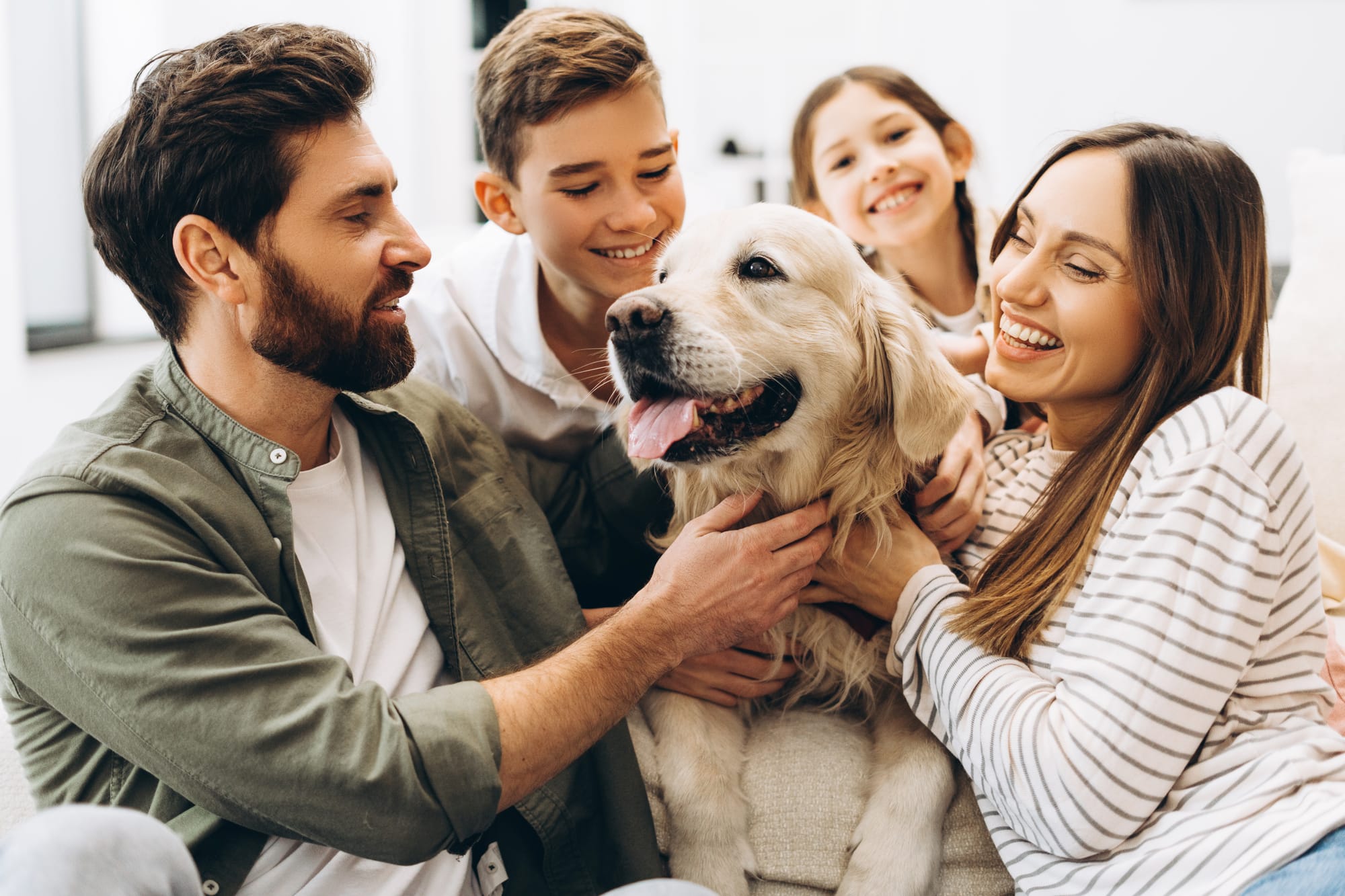 Hundegebühren +240% ab 1.Jänner 2025