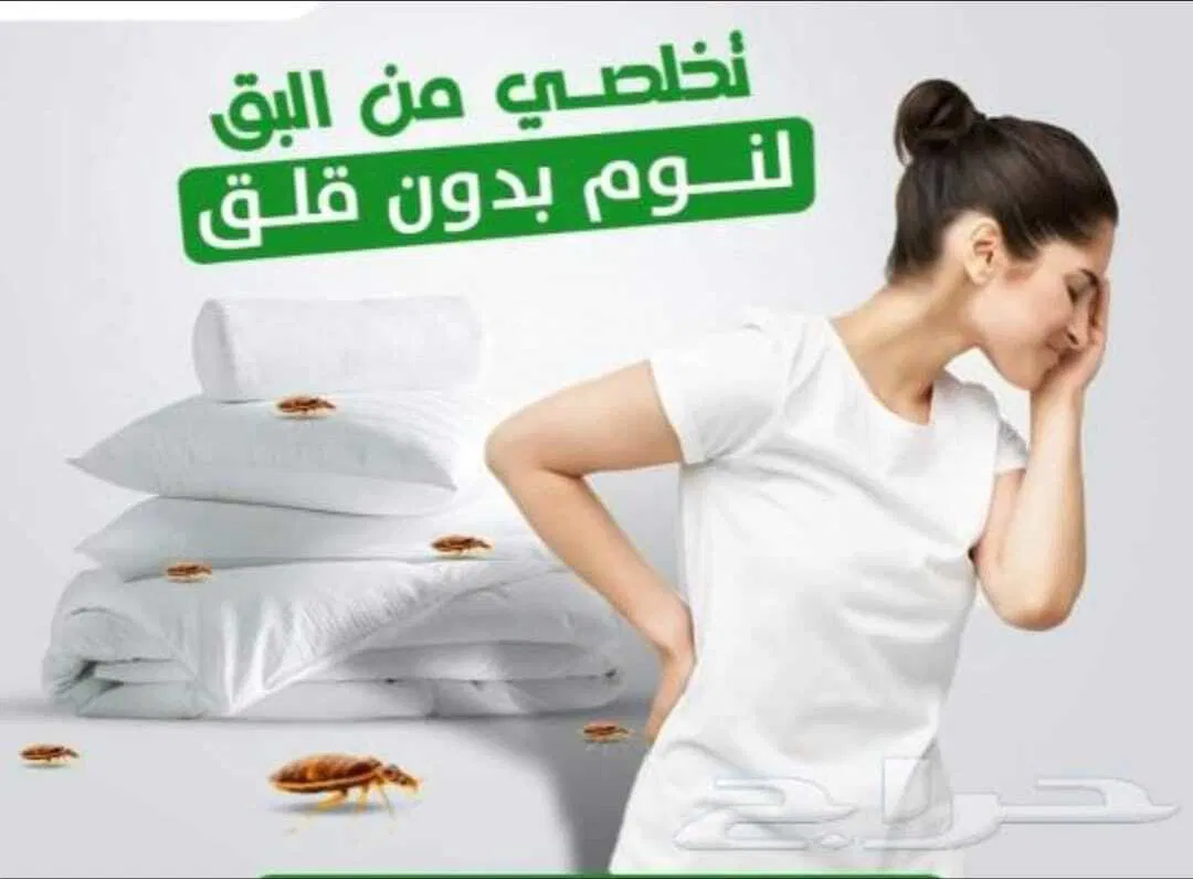 شركة مكافحة حشرات بجدة